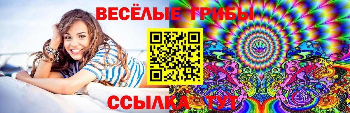 купить закладку  Вход с VPN  Гатчина  Псилоцибиновые грибы мухоморы  Псилоцибиновые грибы ЛСД 