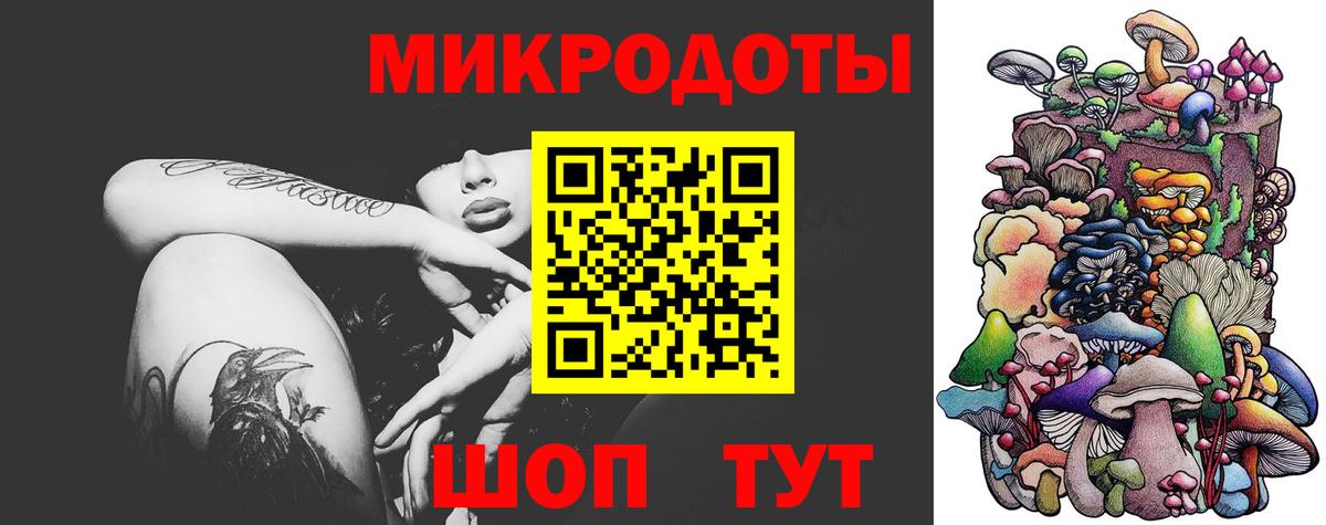 Псилоцибиновые грибы Psilocybine cubensis Гатчина